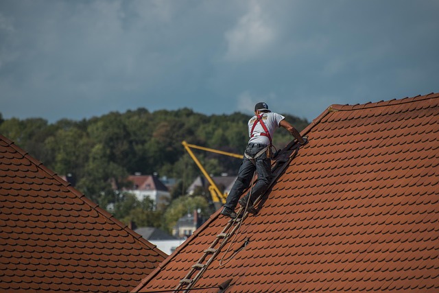 Toiture en cuivre d'un château : rénovation, patine et valorisation du métal